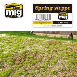 AMIG Spring Steppe